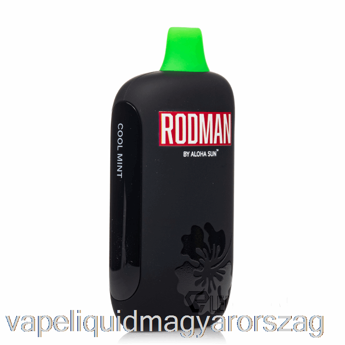 Rodman 9100 Eldobható Hideg Menta Vape Toll